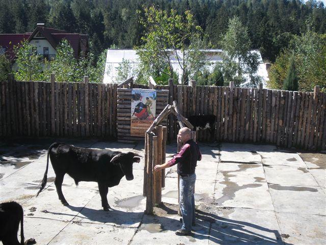 SAM_0273 (2)